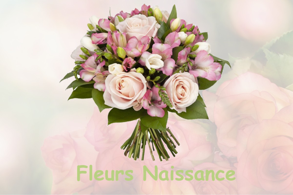 fleurs naissance BOUZIN