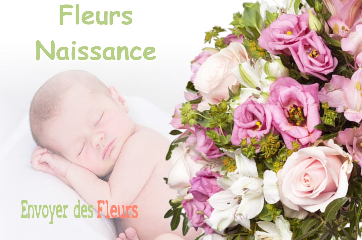 lIVRAISON FLEURS NAISSANCE à BOUZIN